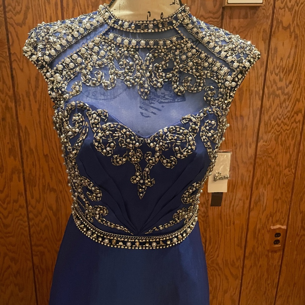 Royal Blue Sequin Trumpet Gown